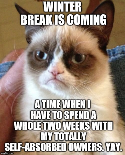 winter break is upon us | WINTER BREAK IS COMING; A TIME WHEN I HAVE TO SPEND A WHOLE TWO WEEKS WITH MY TOTALLY SELF-ABSORBED OWNERS. YAY. | image tagged in christmas,grumpy cat | made w/ Imgflip meme maker
