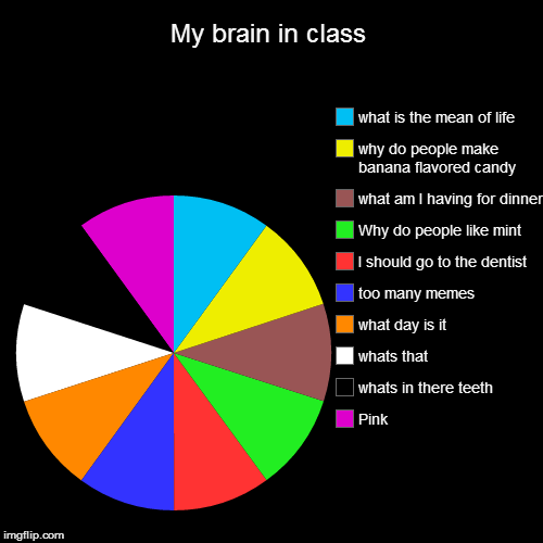My brain in class | Pink, whats in there teeth , whats that, what day is it, too many memes, I should go to the dentist, Why do people like  | image tagged in funny,pie charts | made w/ Imgflip chart maker