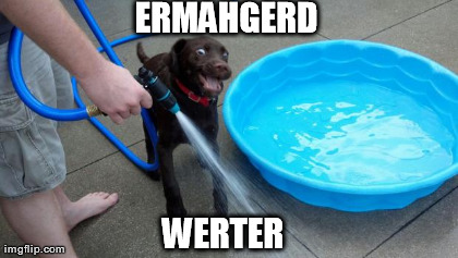 image tagged in funny,ermahgerd | made w/ Imgflip meme maker