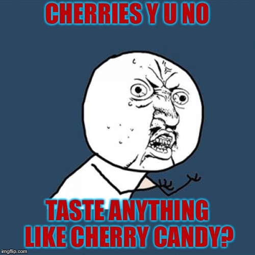Y U No Meme | CHERRIES Y U NO; TASTE ANYTHING LIKE CHERRY CANDY? | image tagged in memes,y u no | made w/ Imgflip meme maker