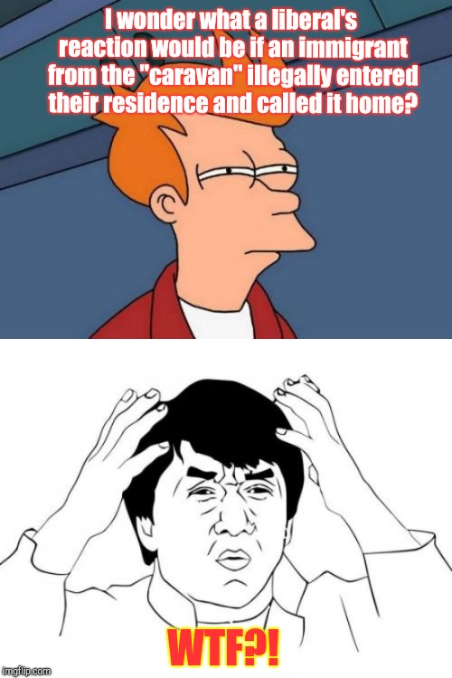 Things that make you go Hmmm. | I wonder what a liberal's reaction would be if an immigrant from the "caravan" illegally entered their residence and called it home? WTF?! | image tagged in memes,futurama fry,jackie chan wtf | made w/ Imgflip meme maker