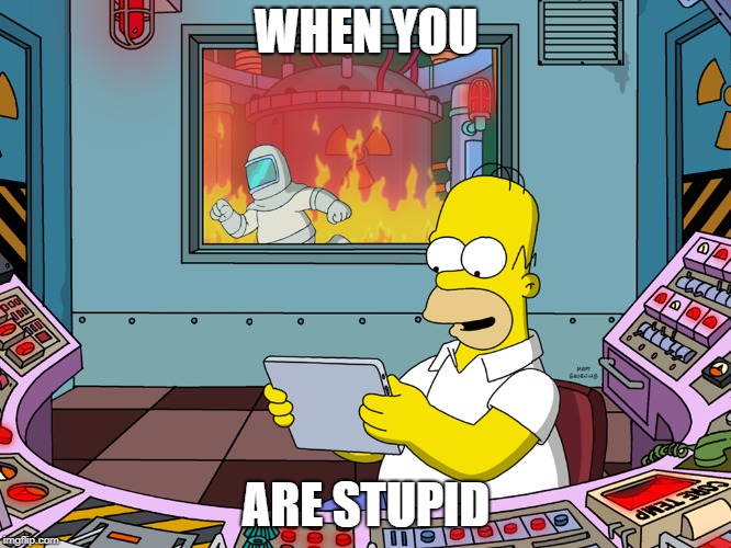 stupid | WHEN YOU; ARE STUPID | image tagged in fire | made w/ Imgflip meme maker