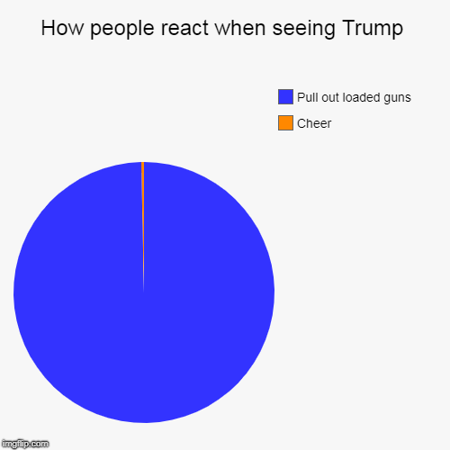 How people react when seeing Trump | Cheer, Pull out loaded guns | image tagged in funny,pie charts | made w/ Imgflip chart maker