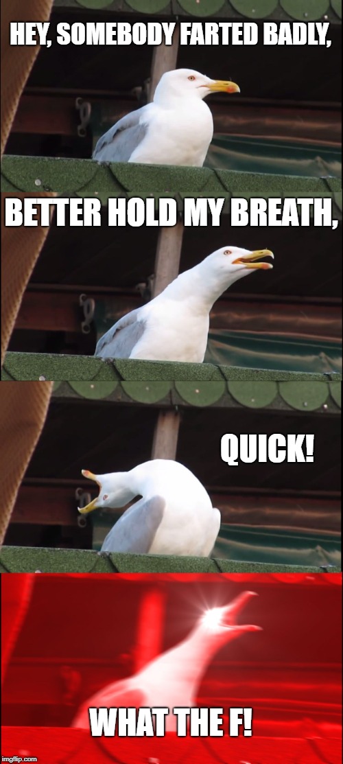 Inhaling Seagull | HEY, SOMEBODY FARTED BADLY, BETTER HOLD MY BREATH, QUICK! WHAT THE F! | image tagged in memes,inhaling seagull | made w/ Imgflip meme maker