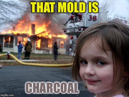 Disaster Girl Meme | THAT MOLD IS CHARCOAL | image tagged in memes,disaster girl | made w/ Imgflip meme maker