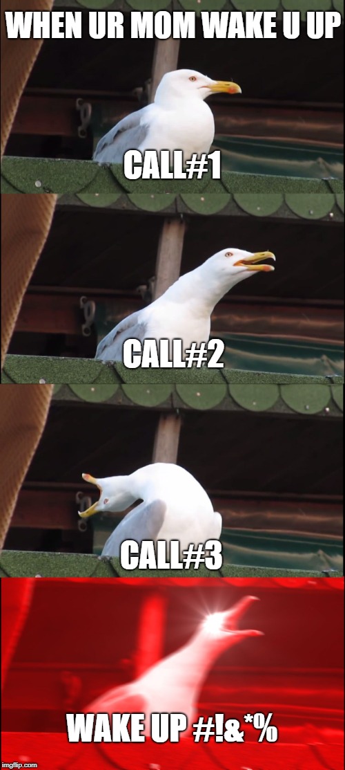 Inhaling Seagull | WHEN UR MOM WAKE U UP; CALL#1; CALL#2; CALL#3; WAKE UP #!&*% | image tagged in memes,inhaling seagull | made w/ Imgflip meme maker