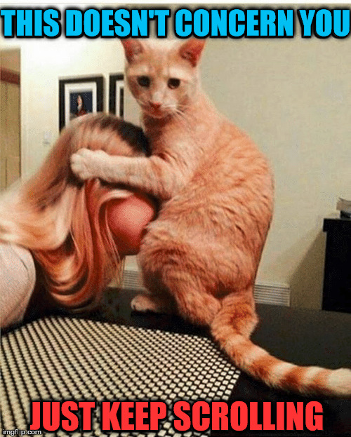 This is a weird picture of a cat and human. | THIS DOESN'T CONCERN YOU; JUST KEEP SCROLLING | image tagged in memes,cats,weird stuff | made w/ Imgflip meme maker