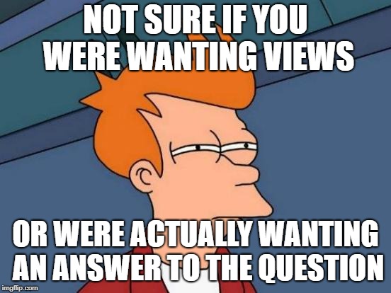NOT SURE IF YOU WERE WANTING VIEWS OR WERE ACTUALLY WANTING AN ANSWER TO THE QUESTION | image tagged in memes,futurama fry | made w/ Imgflip meme maker
