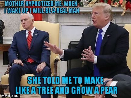 At Least I Think She Meant "Pear" And Not "Pair" | MOTHER HYPNOTIZED ME, WHEN I WAKE UP I WILL BE A REAL MAN; SHE TOLD ME TO MAKE LIKE A TREE AND GROW A PEAR | image tagged in mike pence | made w/ Imgflip meme maker