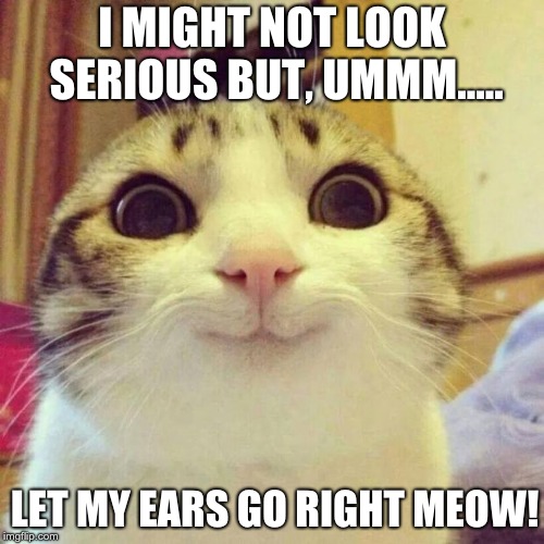 Smiling Cat | I MIGHT NOT LOOK SERIOUS BUT, UMMM..... LET MY EARS GO RIGHT MEOW! | image tagged in memes,smiling cat | made w/ Imgflip meme maker