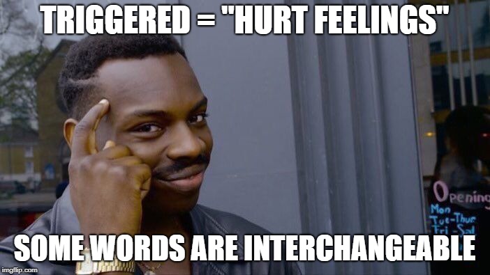 Roll Safe Think About It Meme | TRIGGERED = "HURT FEELINGS" SOME WORDS ARE INTERCHANGEABLE | image tagged in memes,roll safe think about it | made w/ Imgflip meme maker