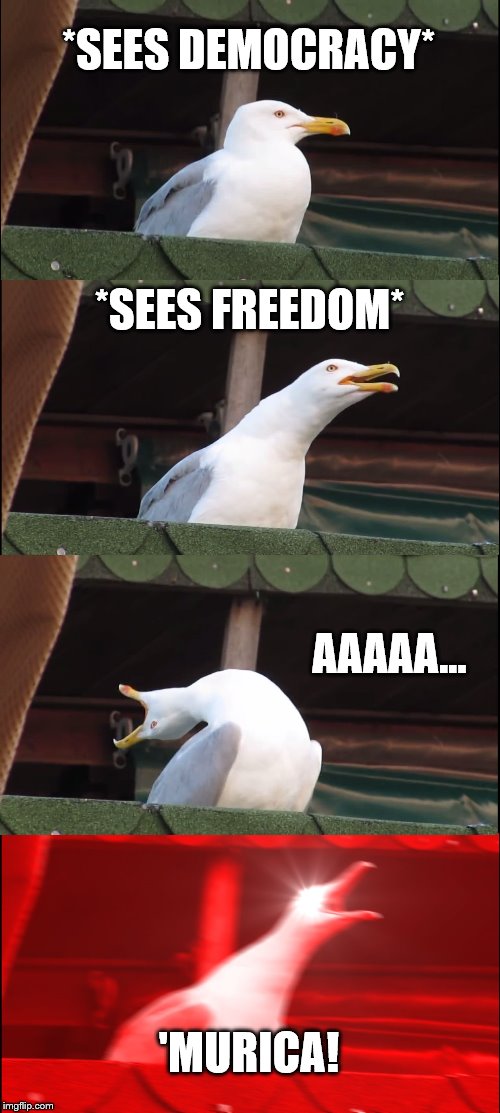 Inhaling Seagull Meme | *SEES DEMOCRACY*; *SEES FREEDOM*; AAAAA... 'MURICA! | image tagged in memes,inhaling seagull | made w/ Imgflip meme maker