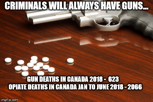 CRIMINALS WILL ALWAYS HAVE GUNS... GUN DEATHS IN CANADA 2018 -  623     
 OPIATE DEATHS IN CANADA JAN TO JUNE 2018 - 2066 | image tagged in drugs,guns | made w/ Imgflip meme maker
