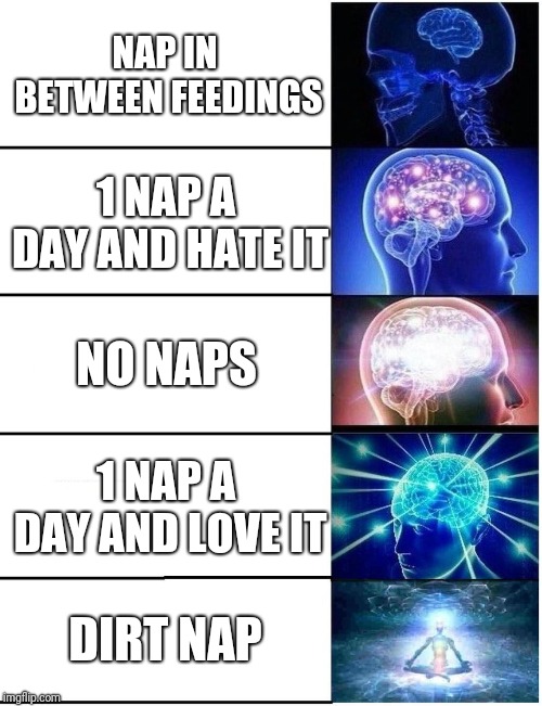 Suddenly, I'm very sleepy... | NAP IN BETWEEN FEEDINGS; 1 NAP A DAY AND HATE IT; NO NAPS; 1 NAP A DAY AND LOVE IT; DIRT NAP | image tagged in expanding brain 5 panel,memes,sleepy sleeping sleepers,nappers napping,deaths,births children adults old persons people | made w/ Imgflip meme maker