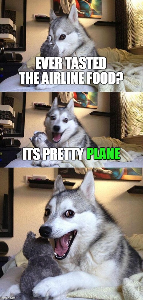 It's pretty plane right? | EVER TASTED THE AIRLINE FOOD? PLANE; ITS PRETTY | image tagged in i see raydog downvoting this meme,airline food,memes,plane | made w/ Imgflip meme maker