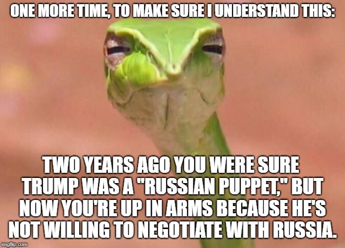 Skeptical snake | ONE MORE TIME, TO MAKE SURE I UNDERSTAND THIS:; TWO YEARS AGO YOU WERE SURE TRUMP WAS A "RUSSIAN PUPPET," BUT NOW YOU'RE UP IN ARMS BECAUSE HE'S NOT WILLING TO NEGOTIATE WITH RUSSIA. | image tagged in skeptical snake | made w/ Imgflip meme maker