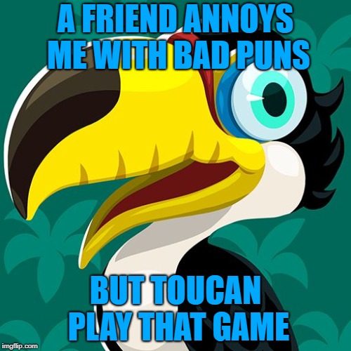 A FRIEND ANNOYS ME WITH BAD PUNS; BUT TOUCAN PLAY THAT GAME | image tagged in pun | made w/ Imgflip meme maker