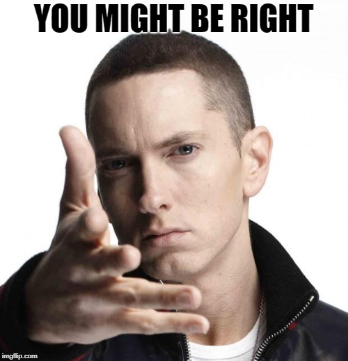 Eminem video game logic | YOU MIGHT BE RIGHT | image tagged in eminem video game logic | made w/ Imgflip meme maker