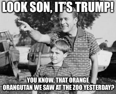 Wait, what orangutan? | LOOK SON, IT’S TRUMP! YOU KNOW, THAT ORANGE ORANGUTAN WE SAW AT THE ZOO YESTERDAY? | image tagged in memes,look son,donald trump | made w/ Imgflip meme maker
