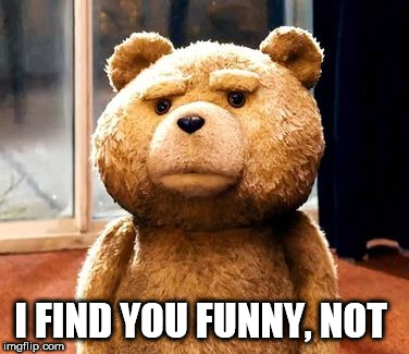 TED Meme | I FIND YOU FUNNY, NOT | image tagged in memes,ted | made w/ Imgflip meme maker