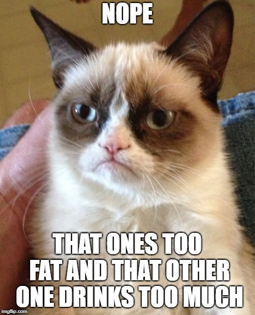 Grumpy Cat Meme | NOPE THAT ONES TOO FAT AND THAT OTHER ONE DRINKS TOO MUCH | image tagged in memes,grumpy cat | made w/ Imgflip meme maker