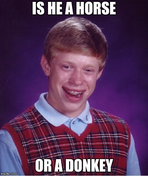 Bad Luck Brian Meme | IS HE A HORSE; OR A DONKEY | image tagged in memes,bad luck brian | made w/ Imgflip meme maker