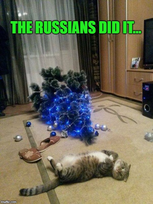 The Russians did it | THE RUSSIANS DID IT... | image tagged in memes,funny memes,funny animals,funny cat,funny cat memes,christmas | made w/ Imgflip meme maker