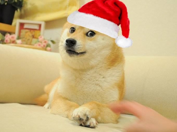 Doge christmas Blank Meme Template