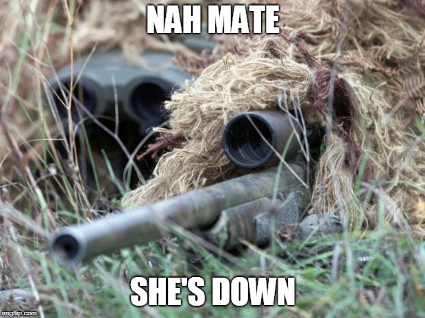 British Sniper Team | NAH MATE SHE'S DOWN | image tagged in british sniper team | made w/ Imgflip meme maker