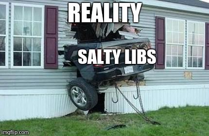funny car crash | REALITY SALTY LIBS | image tagged in funny car crash | made w/ Imgflip meme maker
