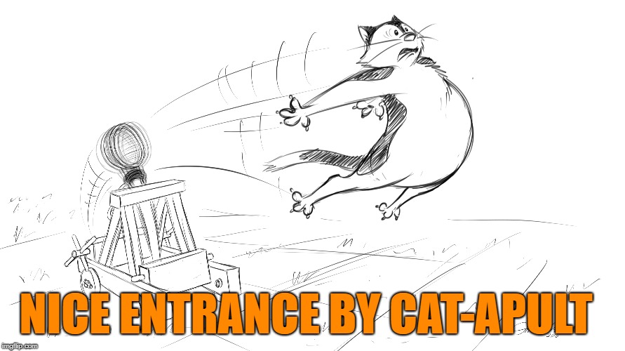 NICE ENTRANCE BY CAT-APULT | made w/ Imgflip meme maker