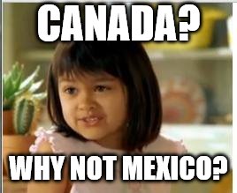 Why not both | CANADA? WHY NOT MEXICO? | image tagged in why not both | made w/ Imgflip meme maker