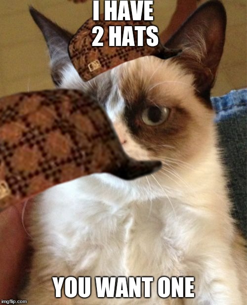 Grumpy Cat | I HAVE 2 HATS; YOU WANT ONE | image tagged in memes,grumpy cat,scumbag | made w/ Imgflip meme maker