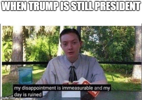 My dissapointment is immeasurable and my day is ruined | WHEN TRUMP IS STILL PRESIDENT | image tagged in my dissapointment is immeasurable and my day is ruined | made w/ Imgflip meme maker