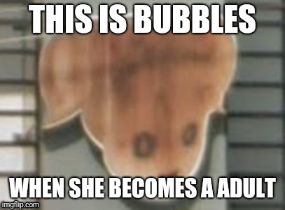 bubbles on meth | THIS IS BUBBLES; WHEN SHE BECOMES A ADULT | image tagged in powerpuff girls,memes | made w/ Imgflip meme maker