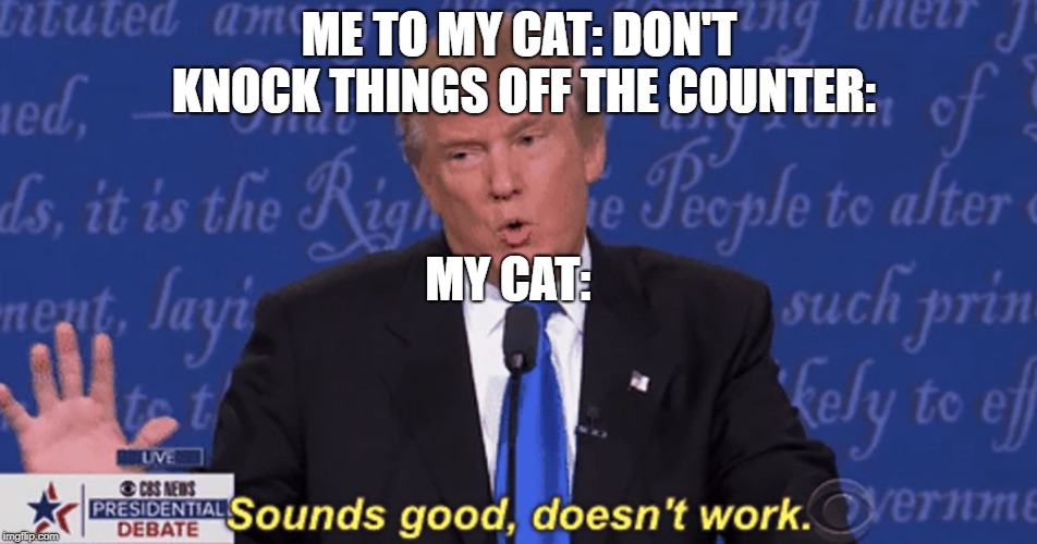 Sounds good, doesn't work. | ME TO MY CAT: DON'T KNOCK THINGS OFF THE COUNTER:; MY CAT: | image tagged in sounds good doesn't work | made w/ Imgflip meme maker