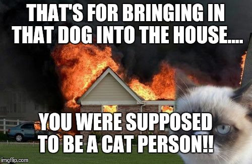 Burn Kitty Meme | THAT'S FOR BRINGING IN THAT DOG INTO THE HOUSE.... YOU WERE SUPPOSED TO BE A CAT PERSON!! | image tagged in memes,burn kitty,grumpy cat | made w/ Imgflip meme maker