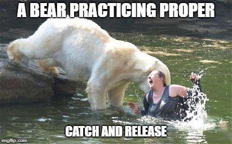 A BEAR PRACTICING PROPER CATCH AND RELEASE | made w/ Imgflip meme maker