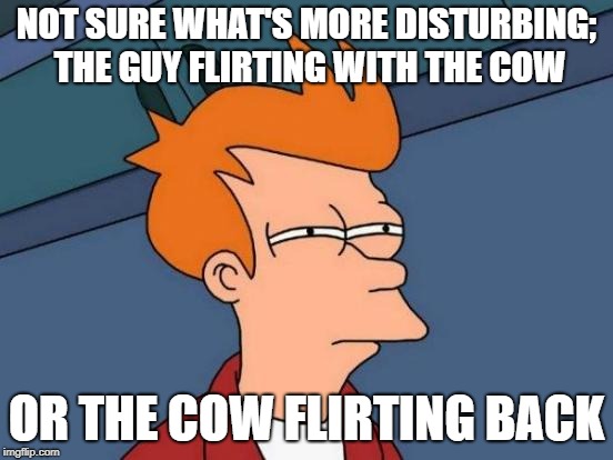Futurama Fry Meme | NOT SURE WHAT'S MORE DISTURBING; THE GUY FLIRTING WITH THE COW OR THE COW FLIRTING BACK | image tagged in memes,futurama fry | made w/ Imgflip meme maker