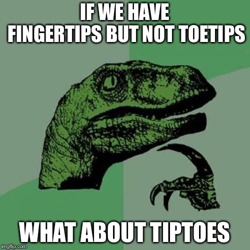 Philosoraptor | IF WE HAVE FINGERTIPS BUT NOT TOETIPS; WHAT ABOUT TIPTOES | image tagged in memes,philosoraptor | made w/ Imgflip meme maker