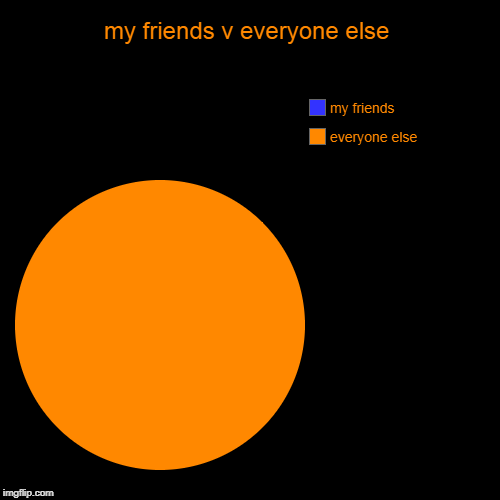 my friends v everyone else | everyone else, my friends | image tagged in funny,pie charts | made w/ Imgflip chart maker