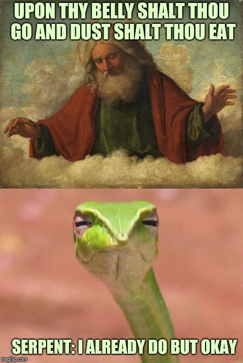  UPON THY BELLY SHALT THOU GO AND DUST SHALT THOU EAT; SERPENT: I ALREADY DO BUT OKAY | image tagged in godpls,skeptical snake | made w/ Imgflip meme maker