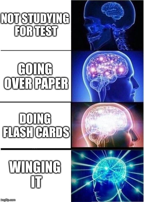 Tests be like | NOT STUDYING FOR TEST; GOING OVER PAPER; DOING FLASH CARDS; WINGING IT | image tagged in memes,expanding brain,school | made w/ Imgflip meme maker