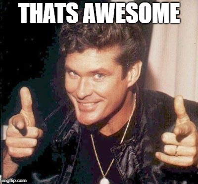 The Hoff thinks your awesome | THATS AWESOME | image tagged in the hoff thinks your awesome | made w/ Imgflip meme maker