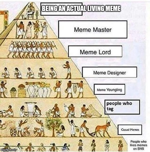 meme positions in 2019 | BEING AN ACTUAL LIVING MEME | image tagged in meme pyramid | made w/ Imgflip meme maker