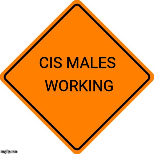 So everyone will know | WORKING; CIS MALES | image tagged in construction sign,funny,politics,political meme | made w/ Imgflip meme maker