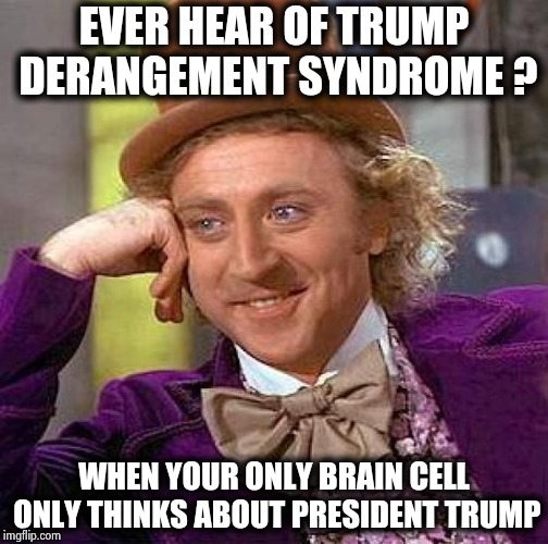 Creepy Condescending Wonka Meme | EVER HEAR OF TRUMP DERANGEMENT SYNDROME ? WHEN YOUR ONLY BRAIN CELL ONLY THINKS ABOUT PRESIDENT TRUMP | image tagged in memes,creepy condescending wonka | made w/ Imgflip meme maker