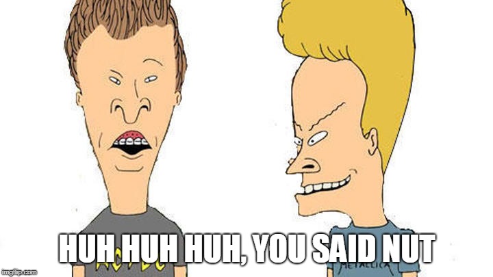 Beavis & Butthead | HUH HUH HUH, YOU SAID NUT | image tagged in beavis  butthead | made w/ Imgflip meme maker