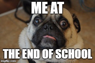Pug worried | ME AT; THE END OF SCHOOL | image tagged in pug worried | made w/ Imgflip meme maker