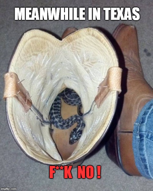 Gives a new meaning to snake skin boots | MEANWHILE IN TEXAS; F**K  NO ! | image tagged in fuck no,snakes,boots,texas,omg | made w/ Imgflip meme maker